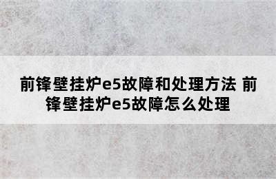 前锋壁挂炉e5故障和处理方法 前锋壁挂炉e5故障怎么处理